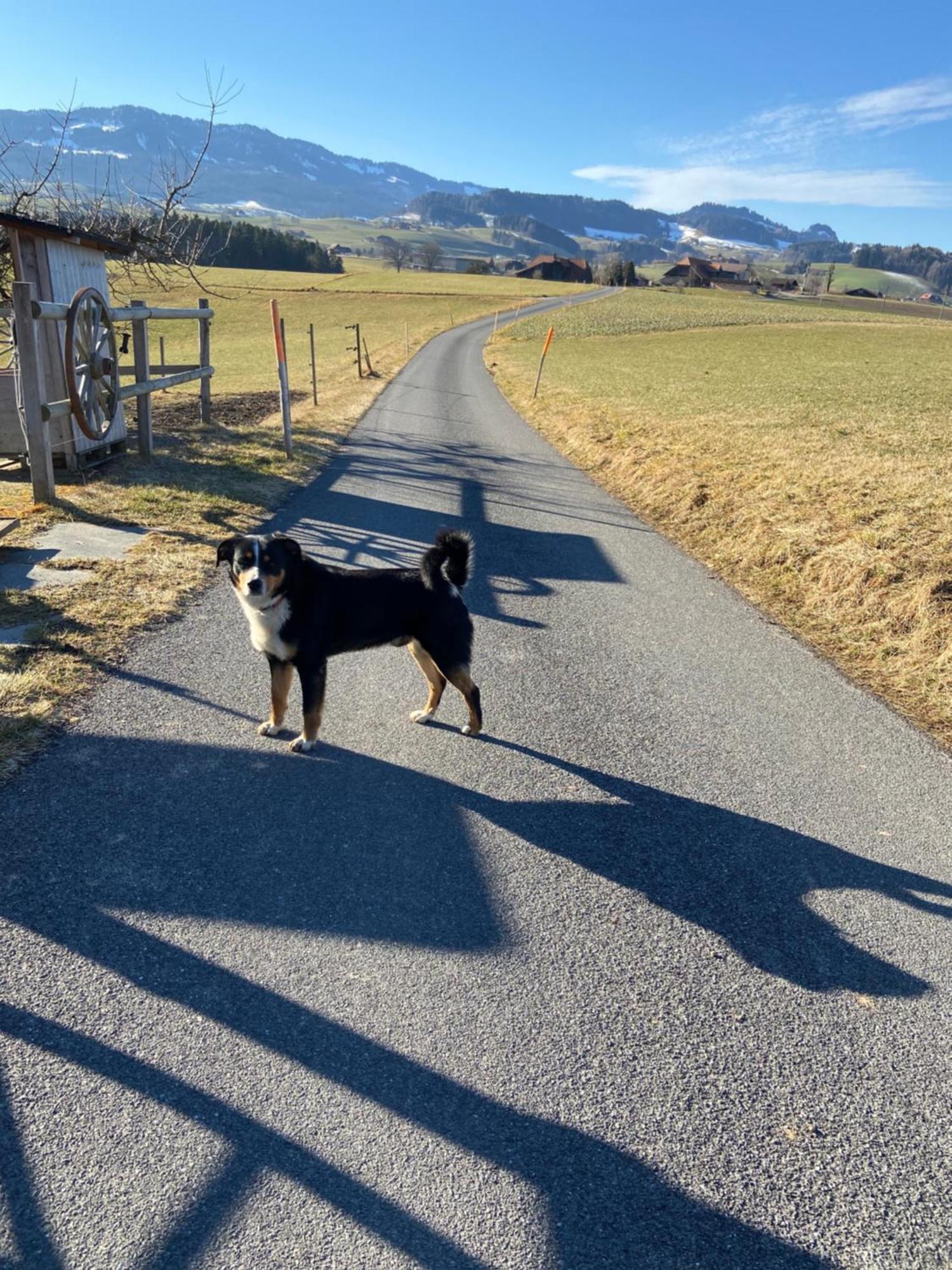 Naturnahe Familienwohnung Ruschegg Esterno foto