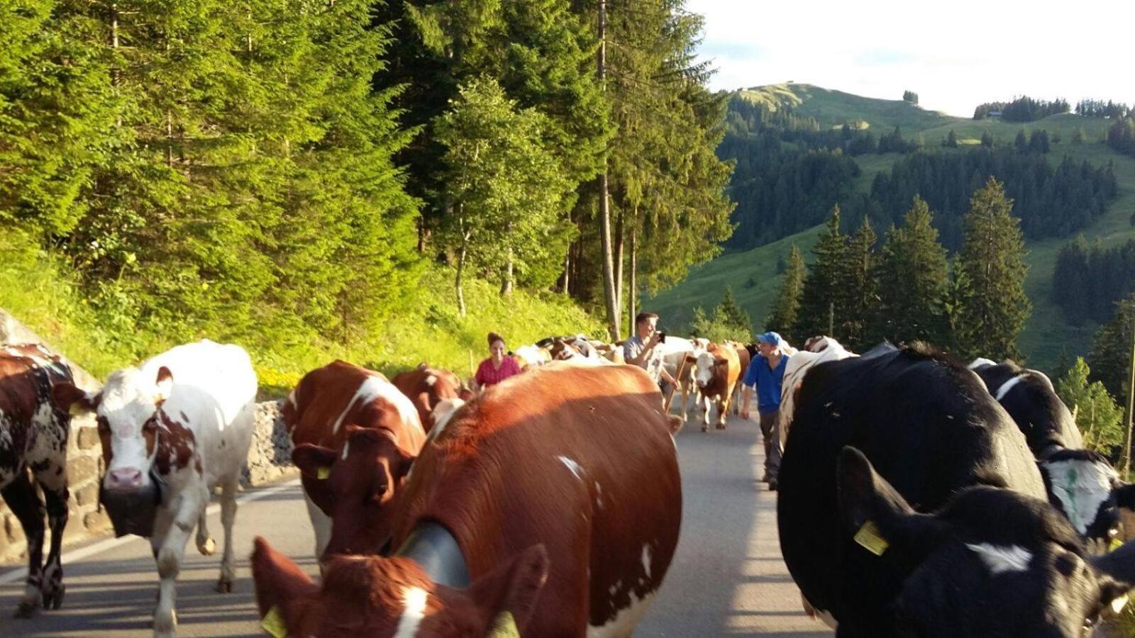 Naturnahe Familienwohnung Ruschegg Esterno foto